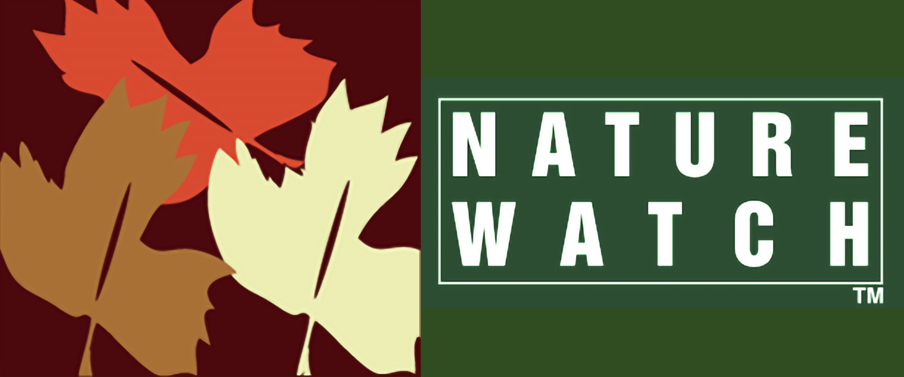 Nature Watch Logo